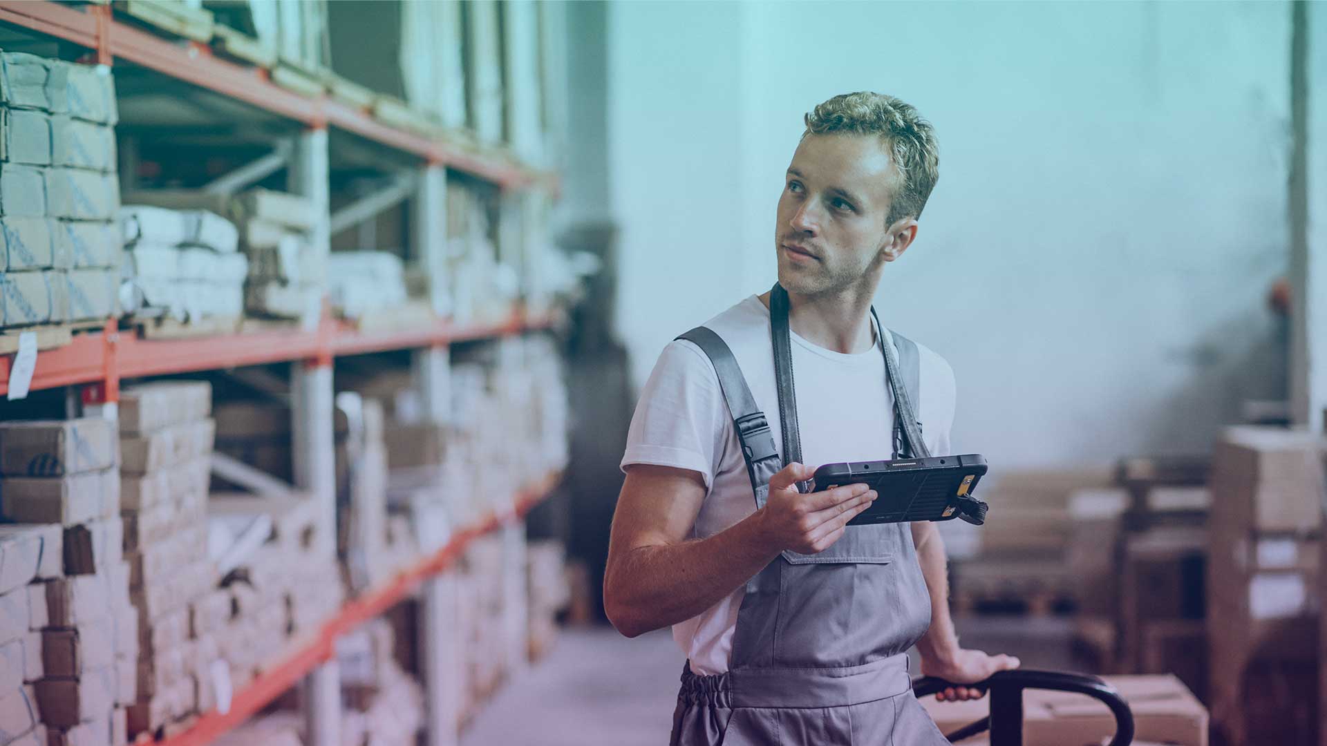 Almoxarife Júnior – Setor de Saneamento – Bertioga