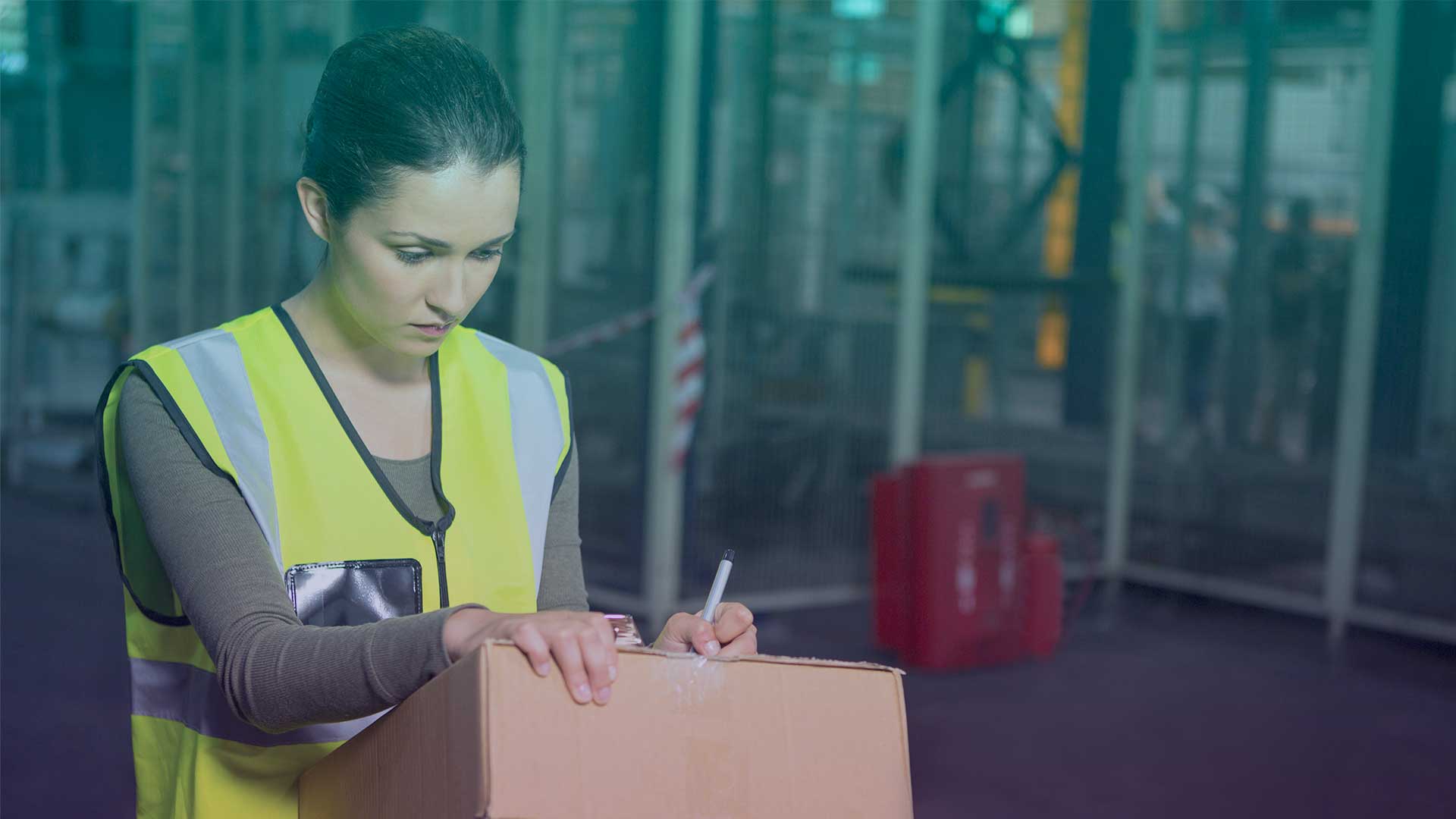 Auxiliar de Logística